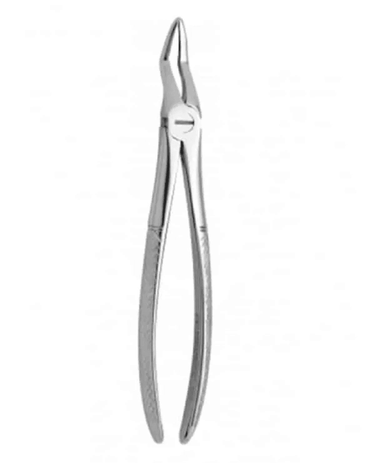 FORCEP ADULTO BAYONETA FINO
